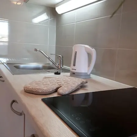Apartment Nika