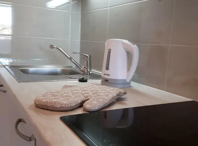 Apartment Nika