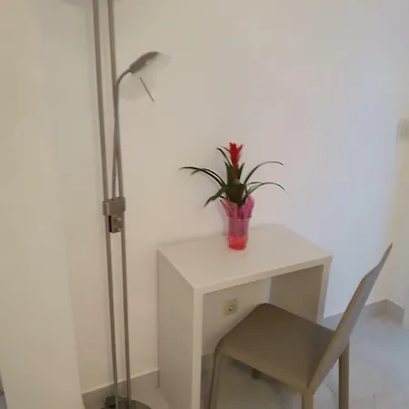 Nika تروغير